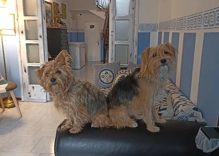 Italia 포르투 아주로